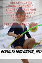 08619_M17-