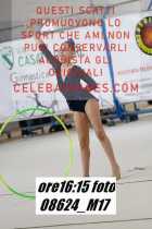 08624_M17-