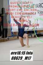 08629_M17-