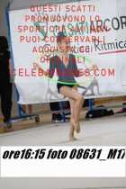 08631_M17-