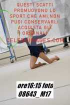 08643_M17-