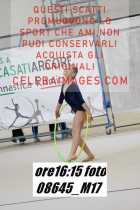 08645_M17-