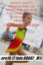 08667_M17-