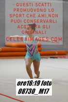 08730_M17-
