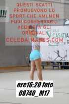 08740_M17-