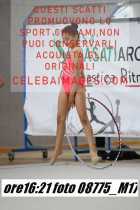 08775_M17-