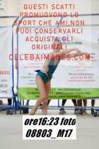 08803_M17-