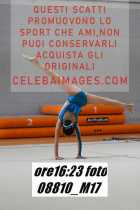 08810_M17-