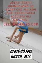 08820_M17-