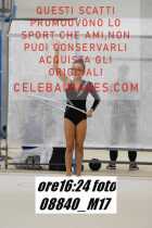 08840_M17-