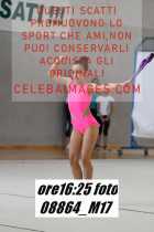 08864_M17-