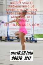 08870_M17-