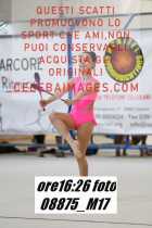 08875_M17-