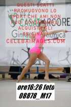 08878_M17-
