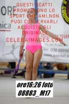 08883_M17-