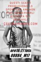 08884_M17-