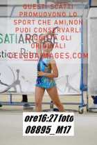 08895_M17-