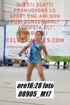 08905_M17-