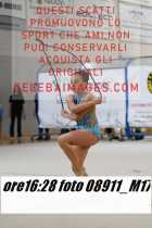 08911_M17-