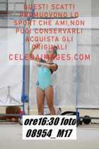 08954_M17-