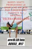 08955_M17-