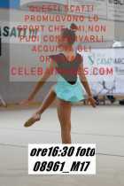 08961_M17-