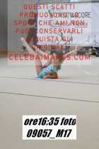 09057_M17-