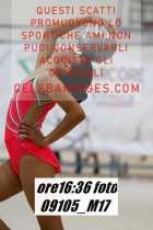 09105_M17-