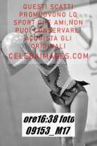 09153_M17-