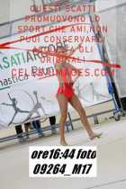 09264_M17-