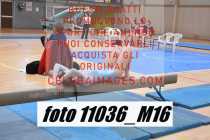 11036_M16
