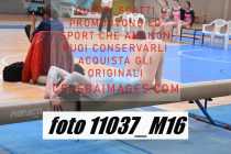 11037_M16