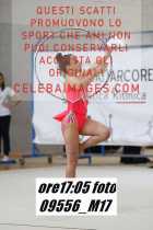 09556_M17-