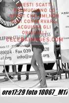 10067_M17-
