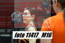 11417_M16