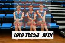 11454_M16