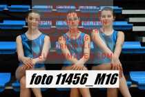 11456_M16