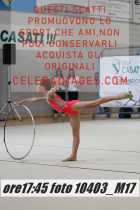 10403_M17-