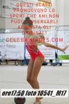 10541_M17-