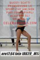 10629_M17-