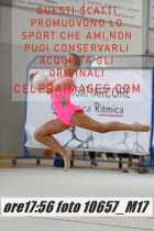 10657_M17-