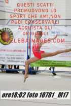 10781_M17-
