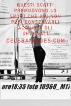 10960_M17-