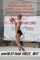 11032_M17-