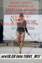 11041_M17-