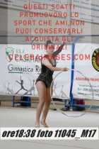 11045_M17-