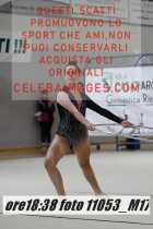 11053_M17-