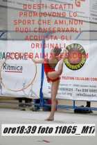 11065_M17-