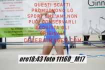 11160_M17-