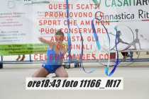 11166_M17-